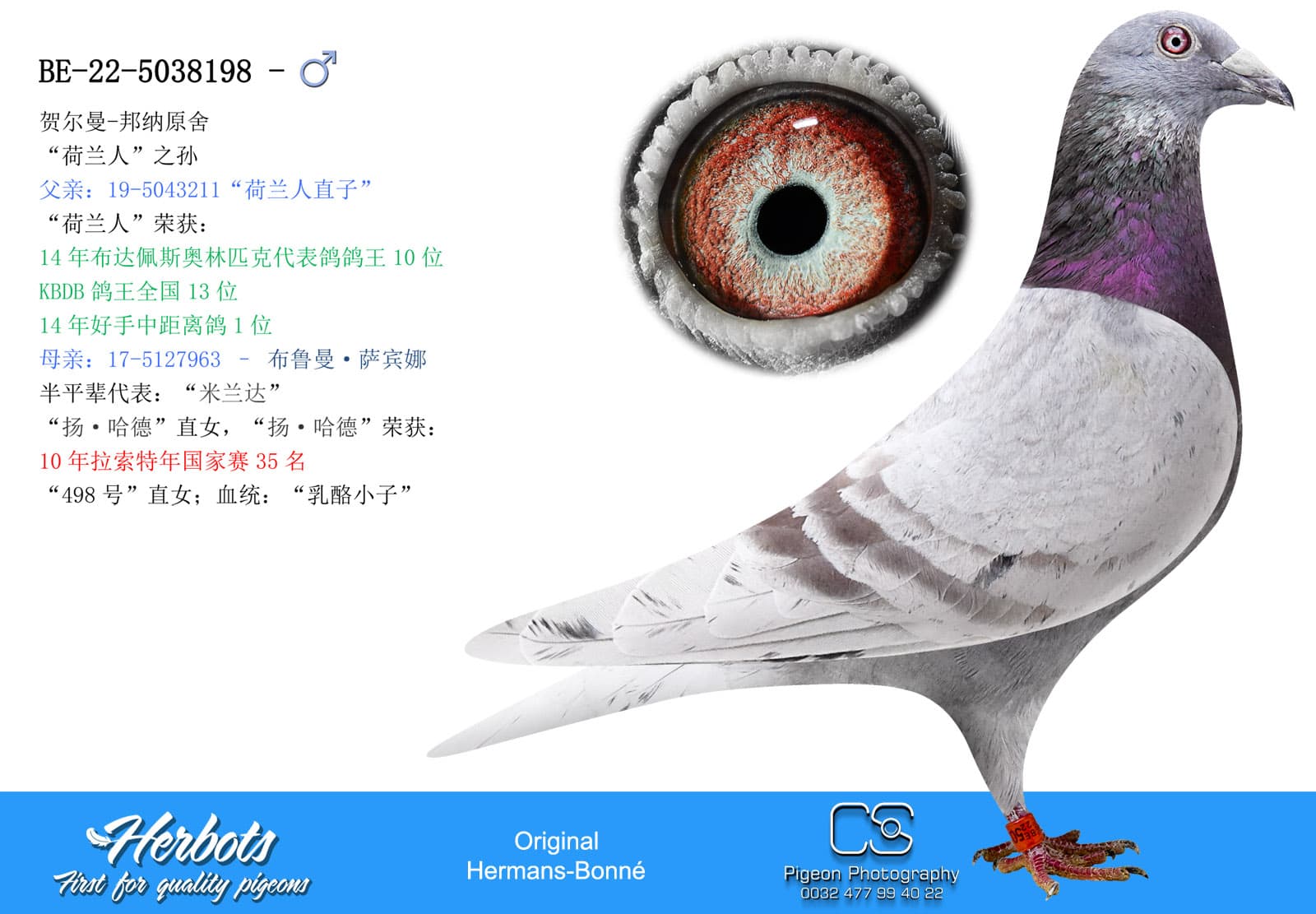pigeon: undefined