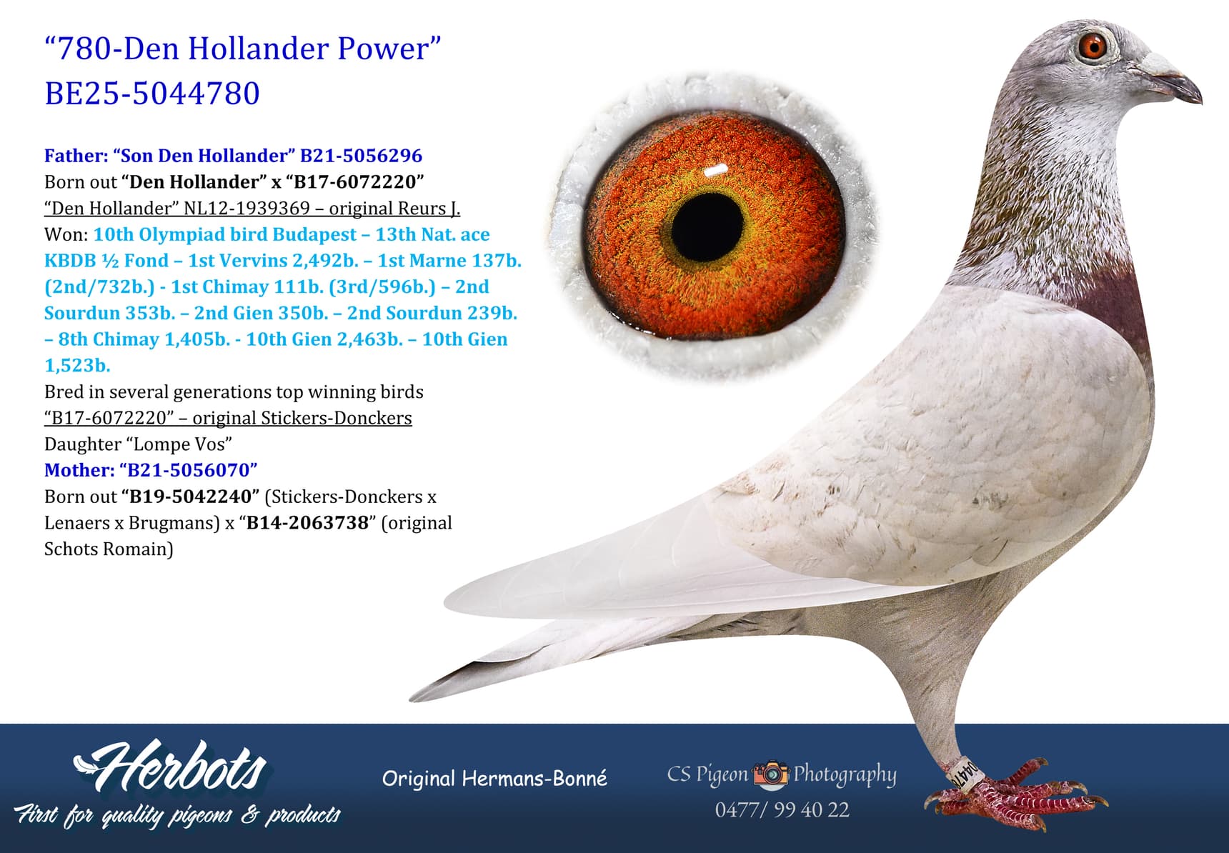 pigeon: undefined