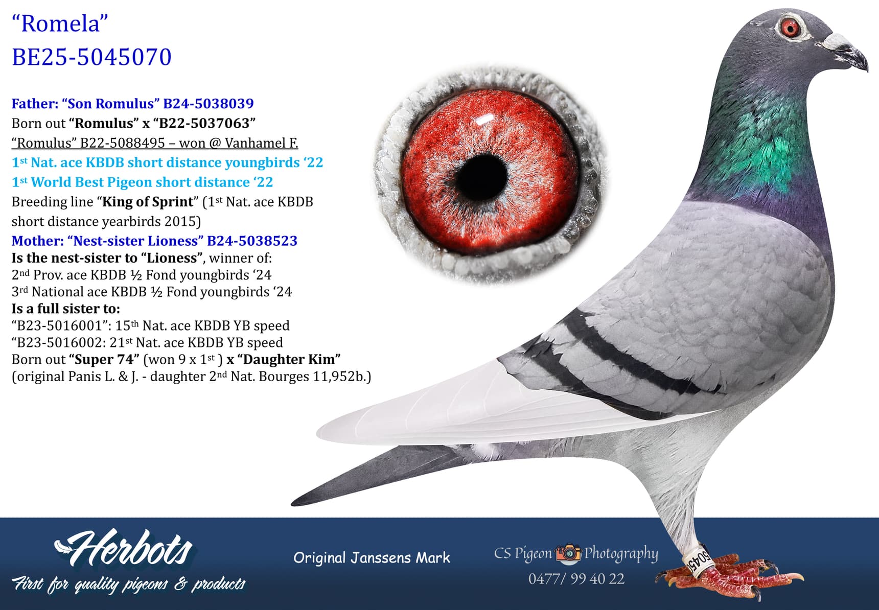 pigeon: undefined
