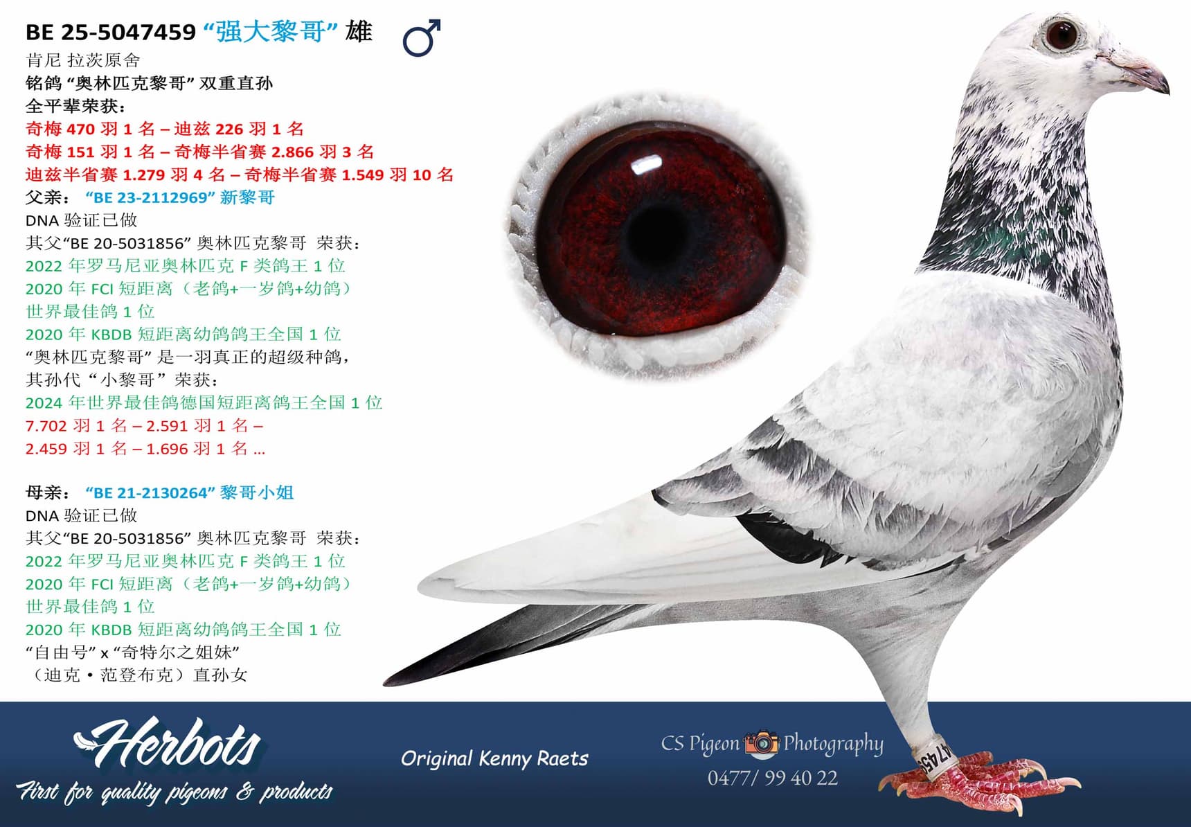 pigeon: “强大黎哥”