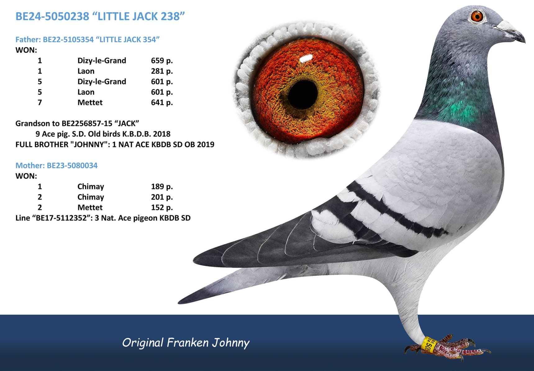 “LITTLE JACK 238”