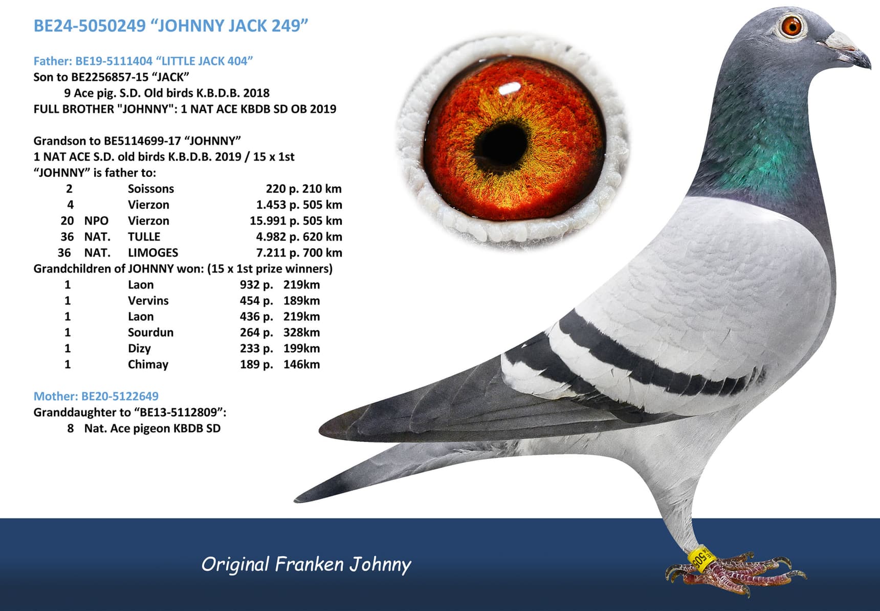 “JOHNNY JACK 249”