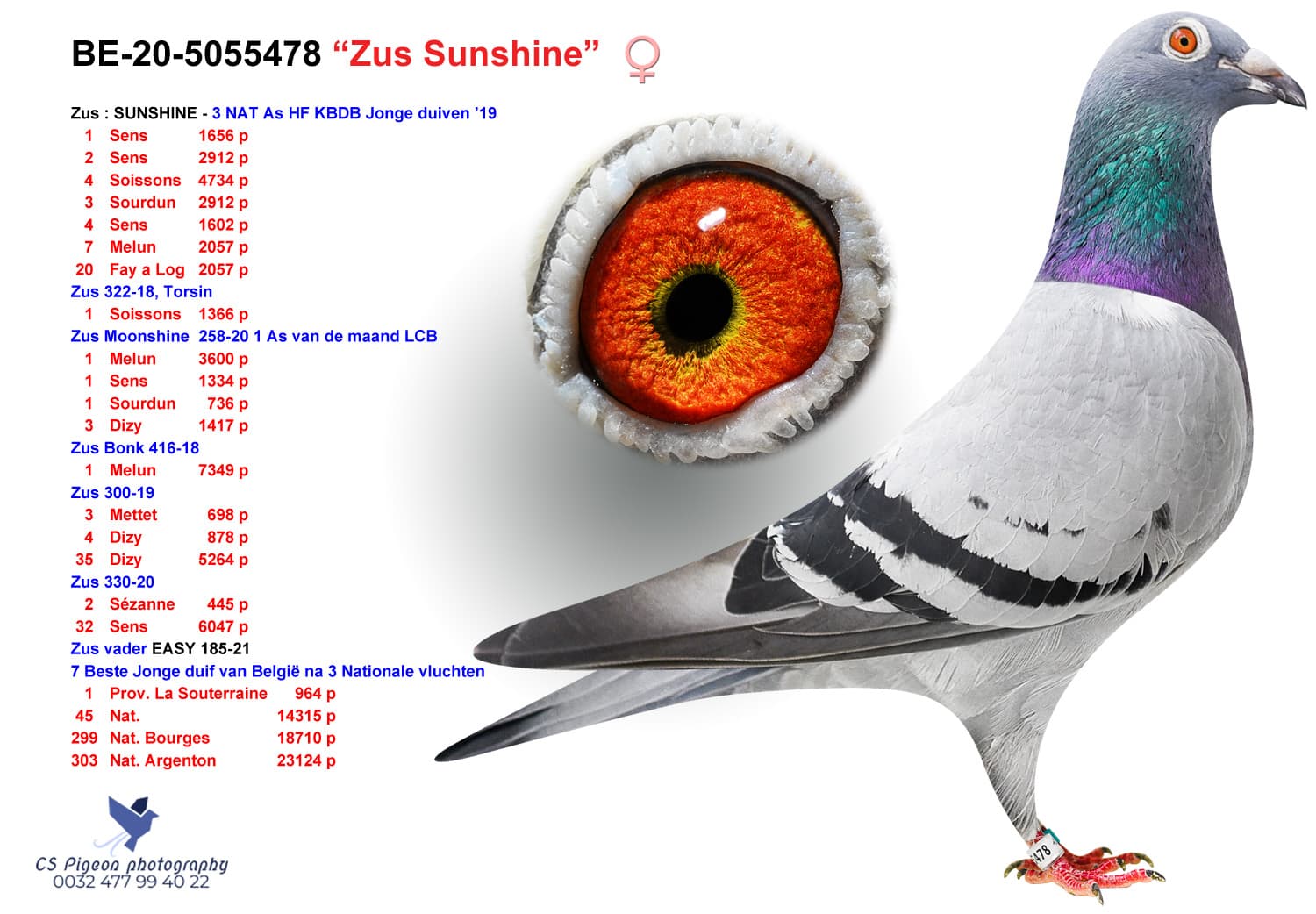 pigeon: "Zus Sunshine"