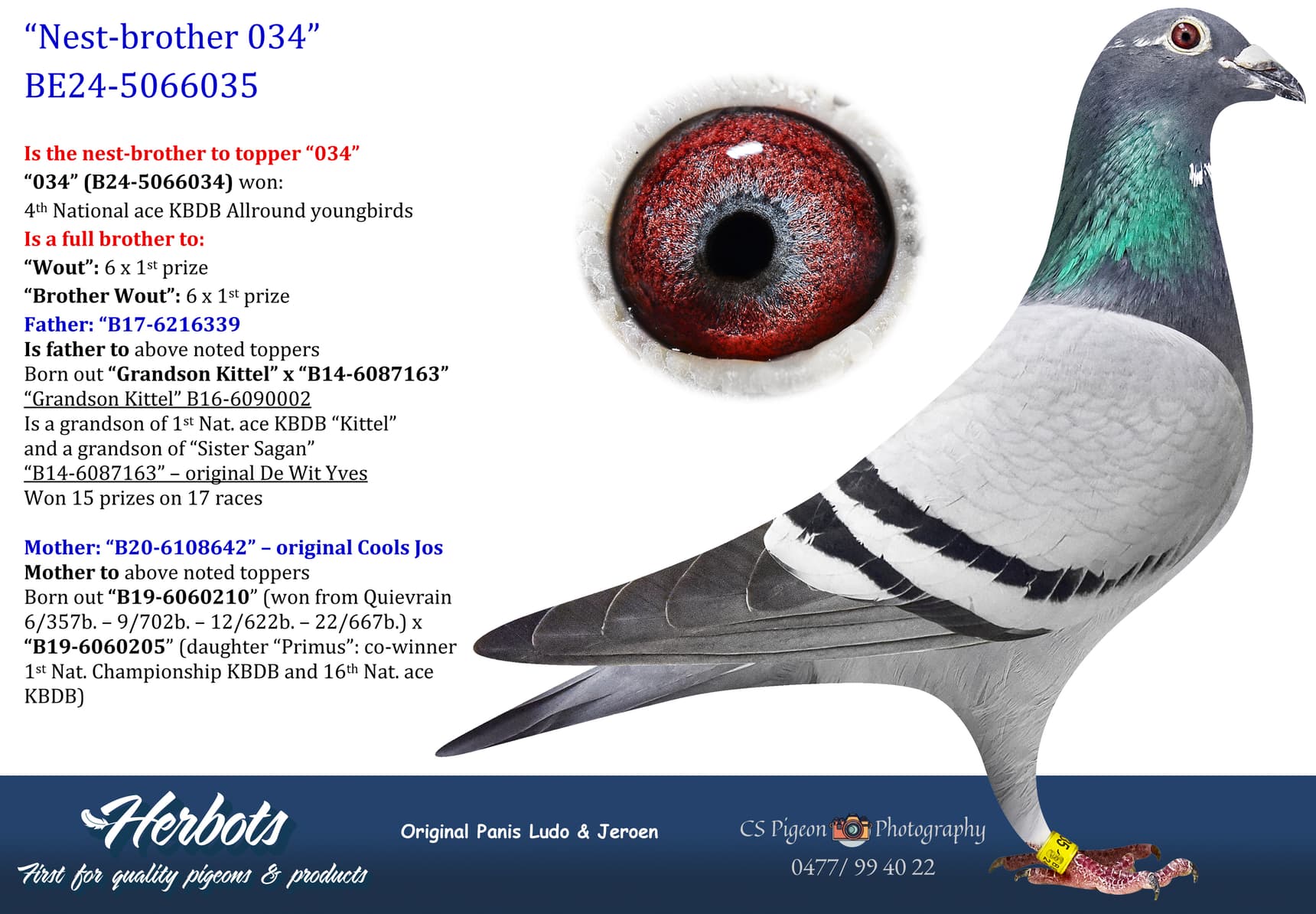 pigeon: undefined