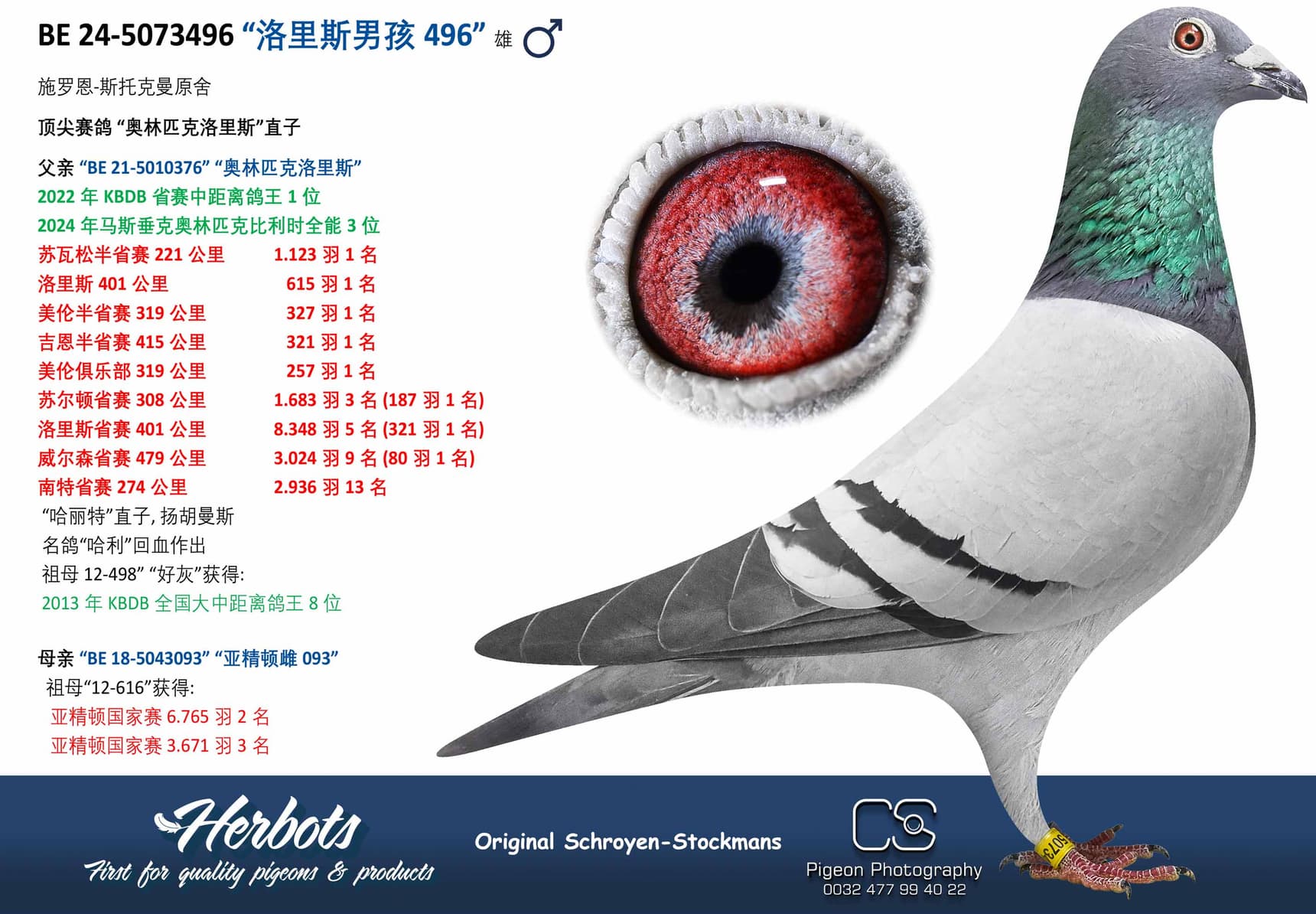 pigeon: undefined