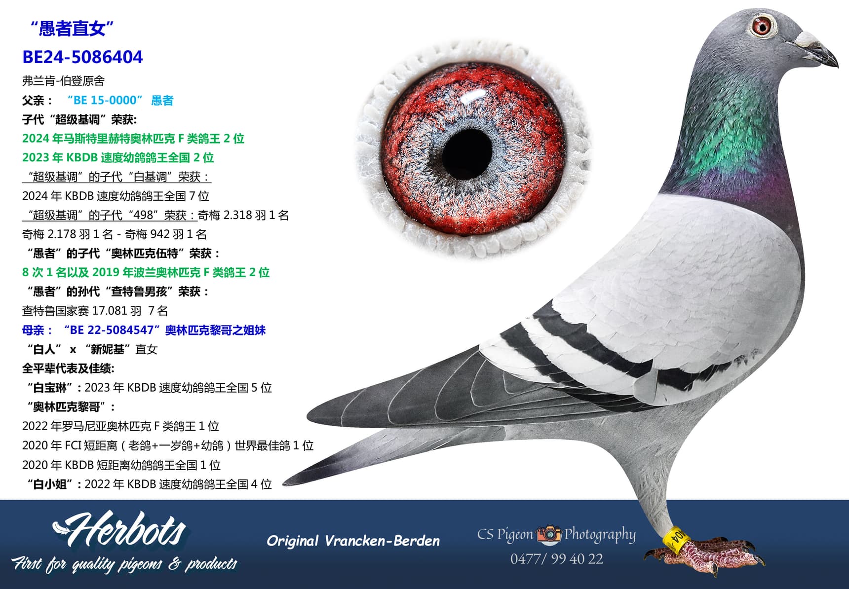 pigeon: undefined