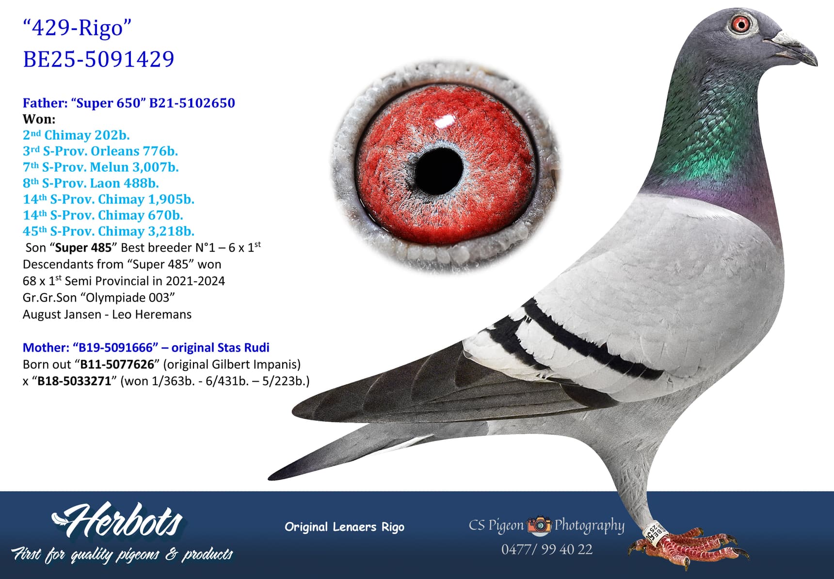 pigeon: undefined
