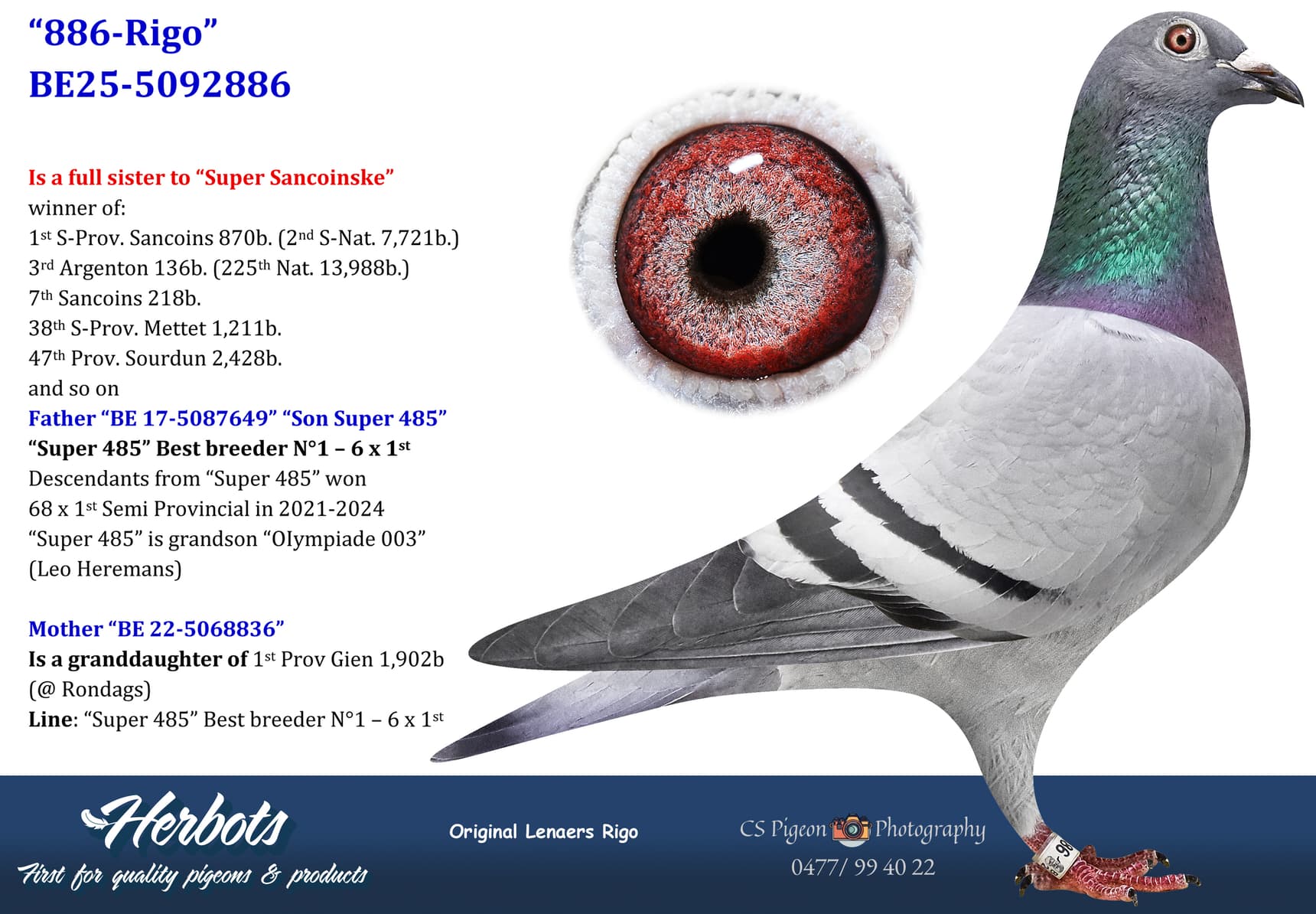 pigeon: undefined