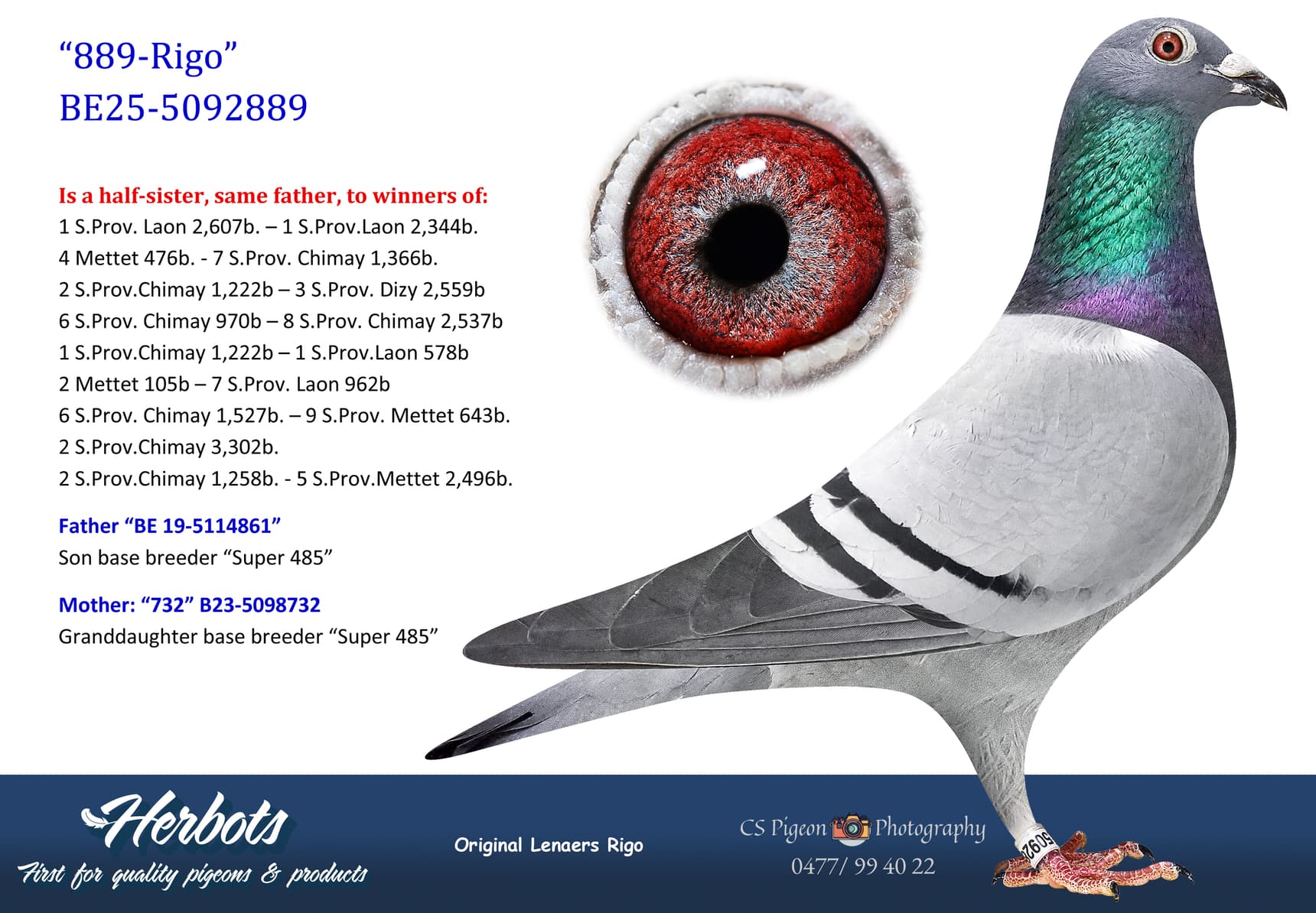 pigeon: undefined