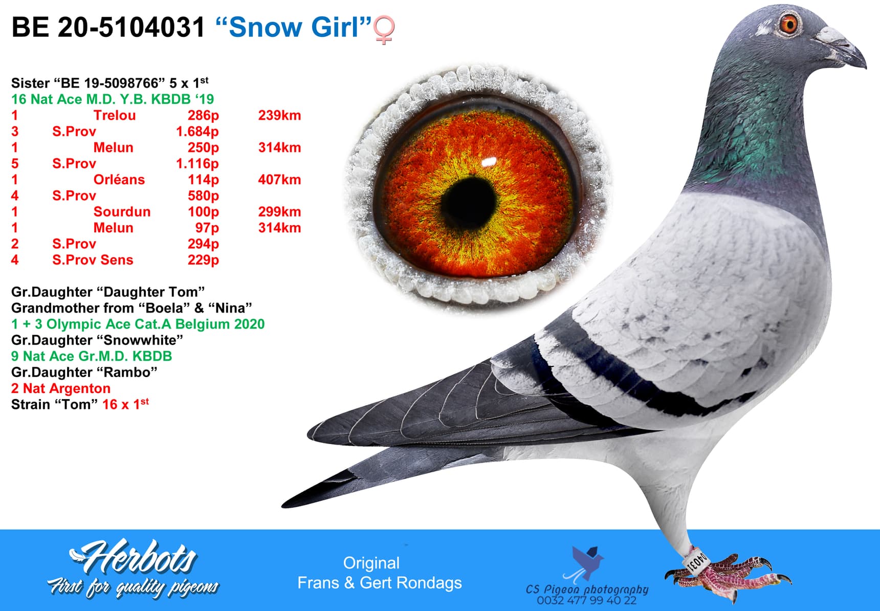 pigeon: “Snow Girl”
