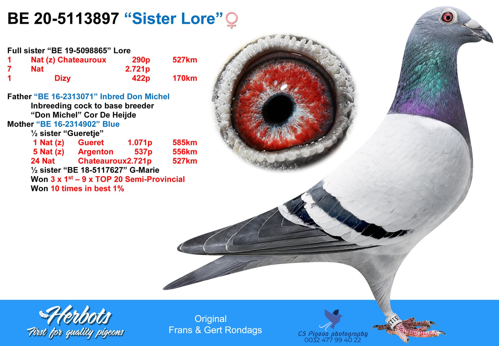 pigeon: “Sister Lore”