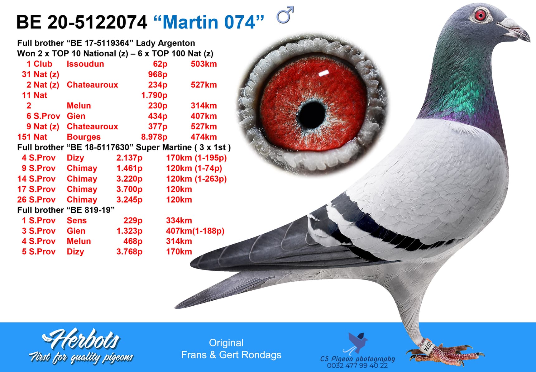 pigeon: “Martin 074"