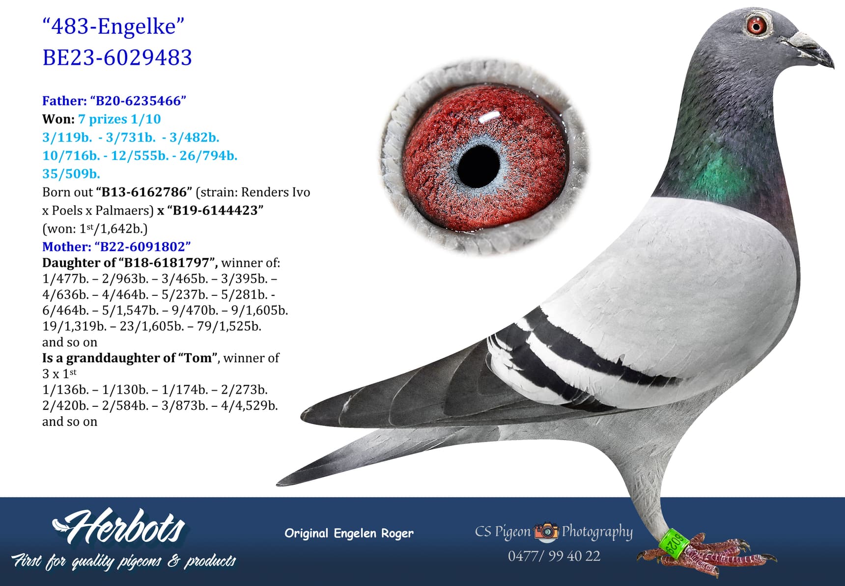 pigeon: undefined