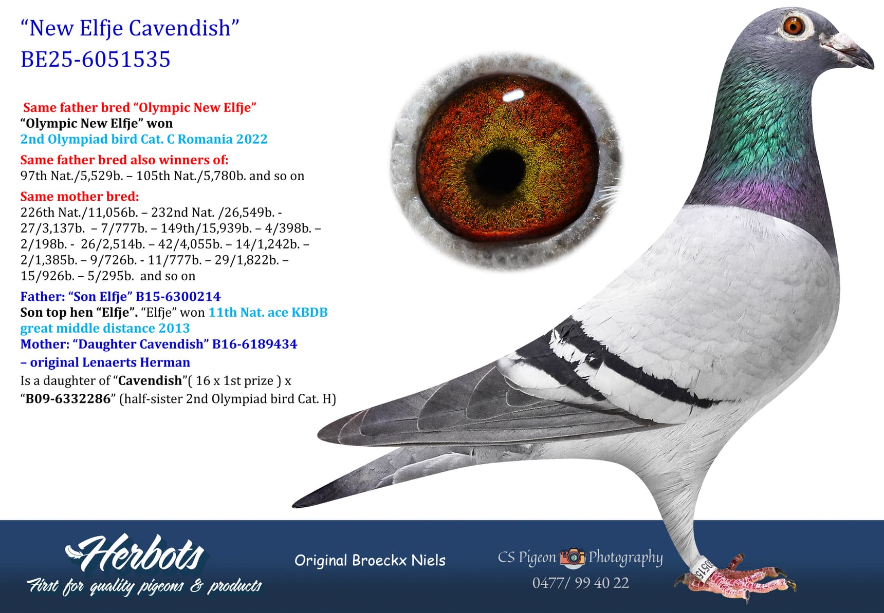 pigeon: undefined
