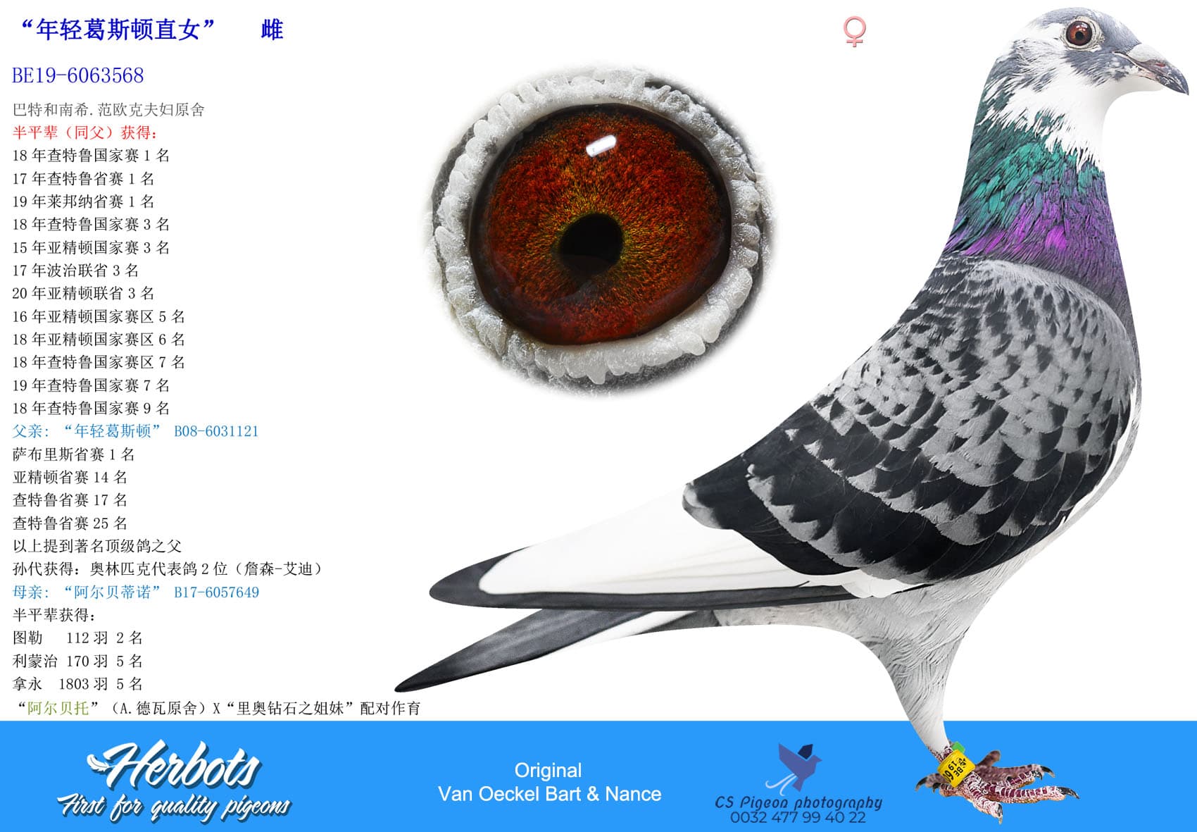 pigeon: “年轻葛斯顿直女”