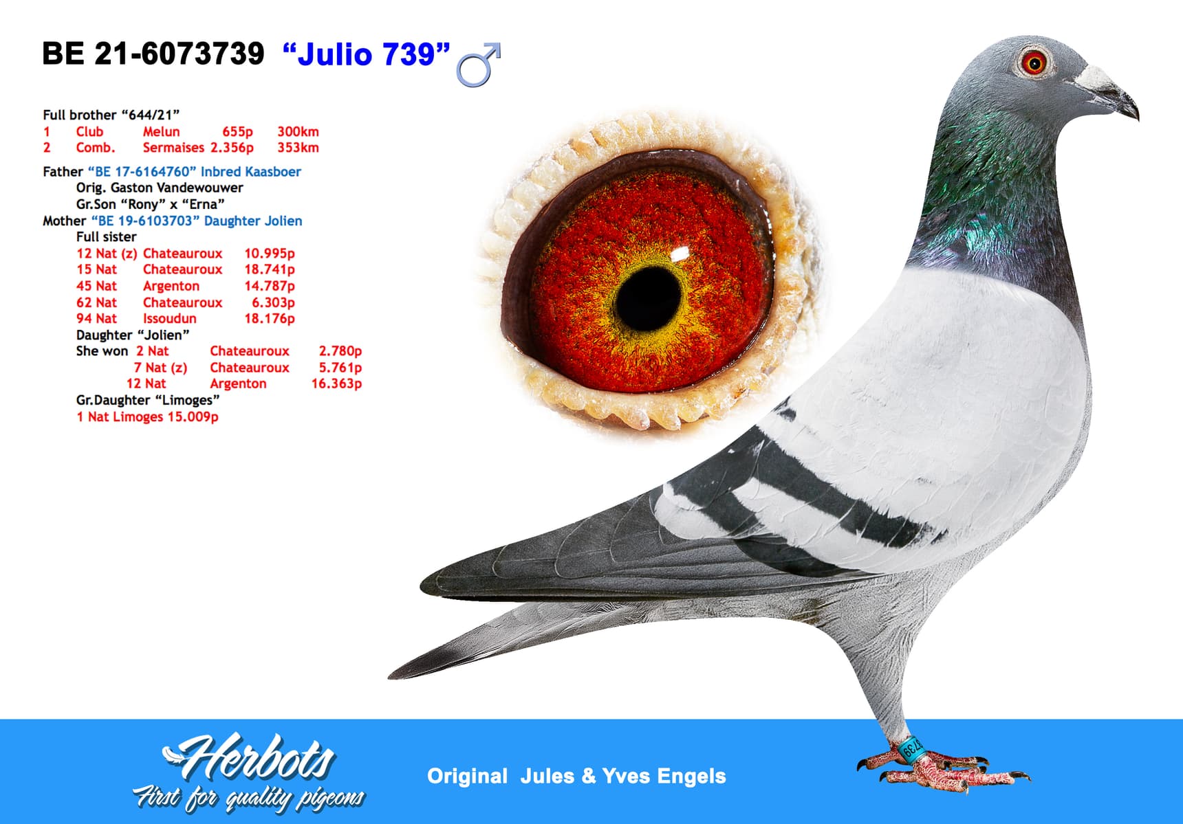 pigeon: “Julio 739”