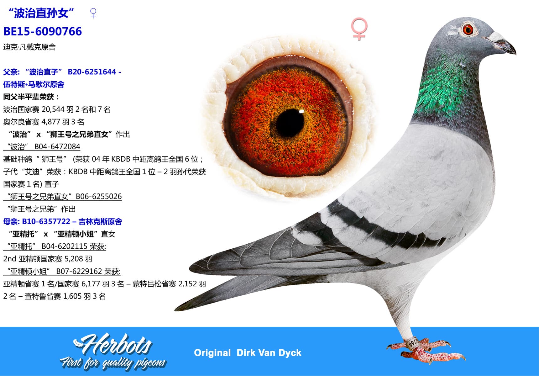 pigeon: undefined