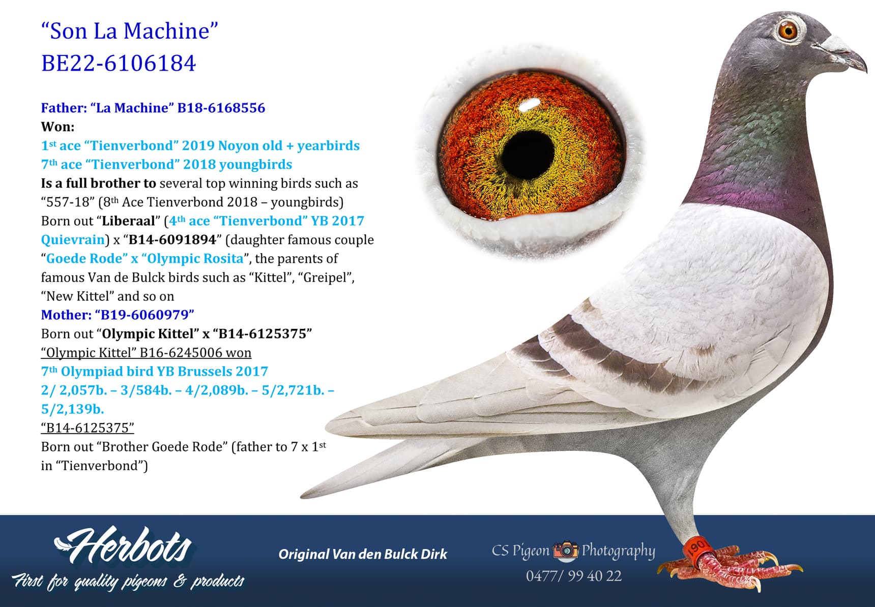pigeon: undefined