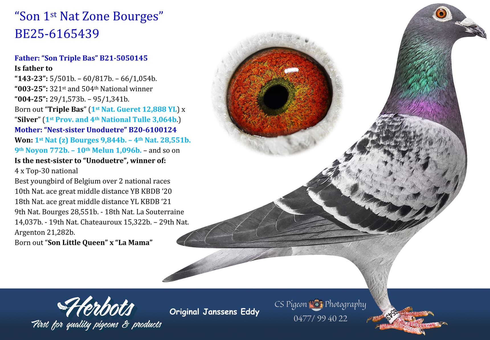 pigeon: undefined