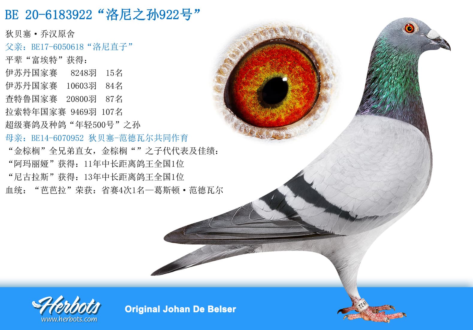 pigeon: undefined