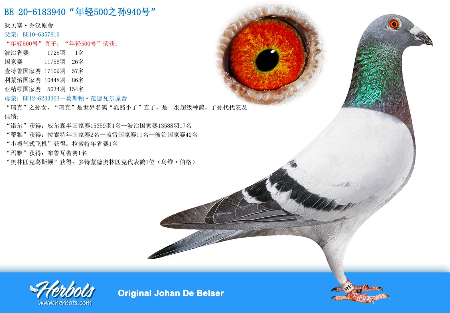 pigeon: undefined