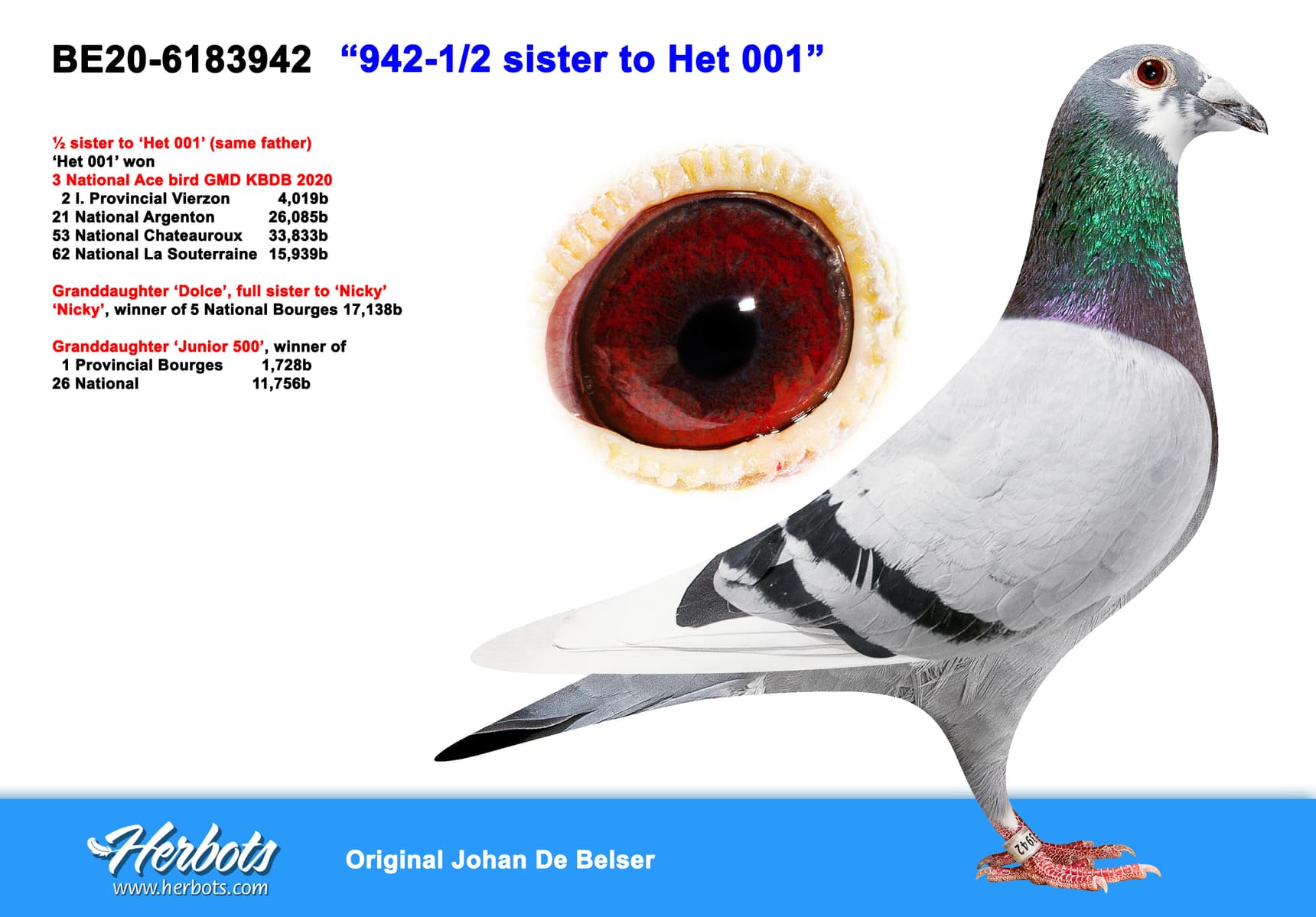 pigeon: undefined