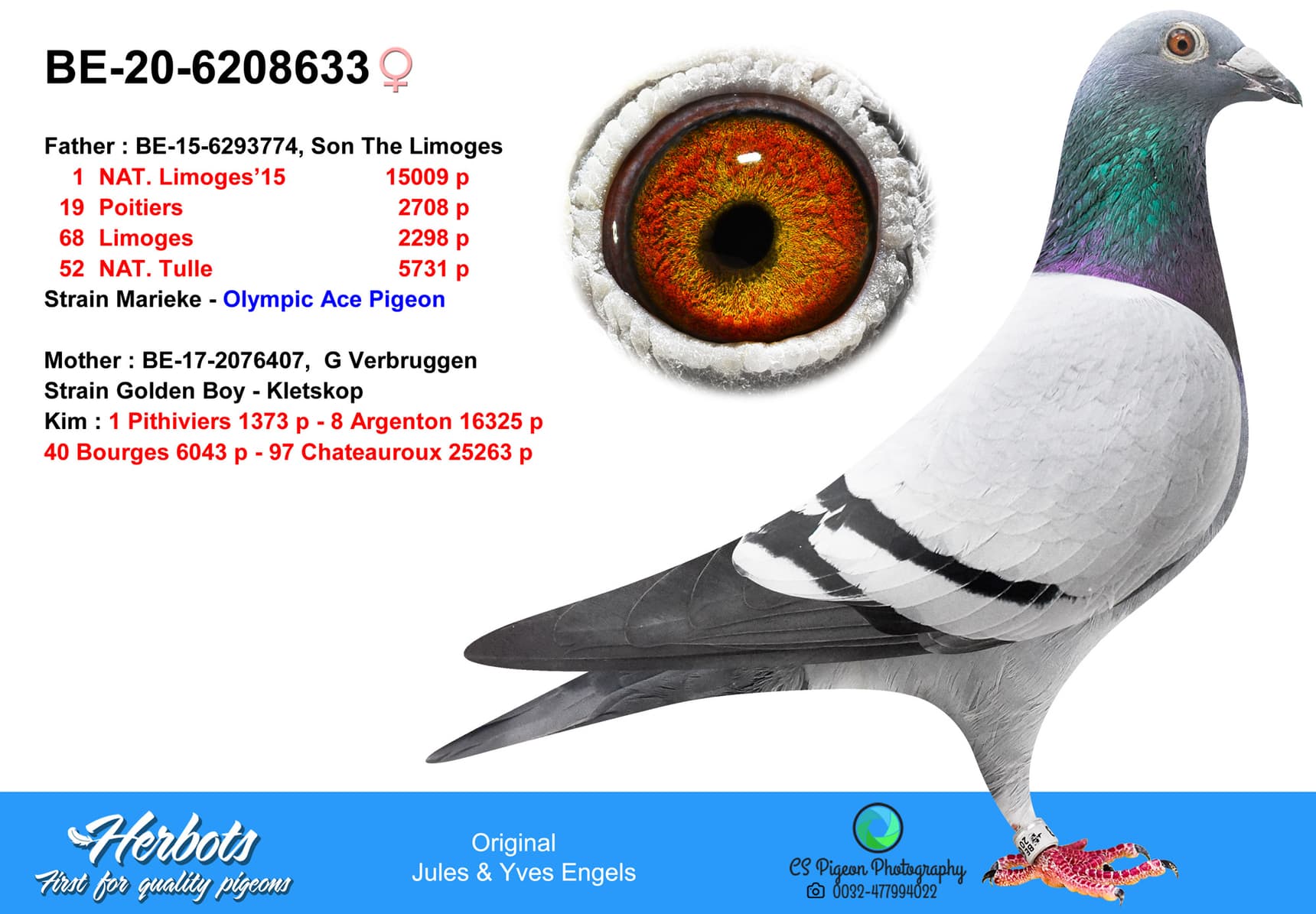 pigeon: undefined
