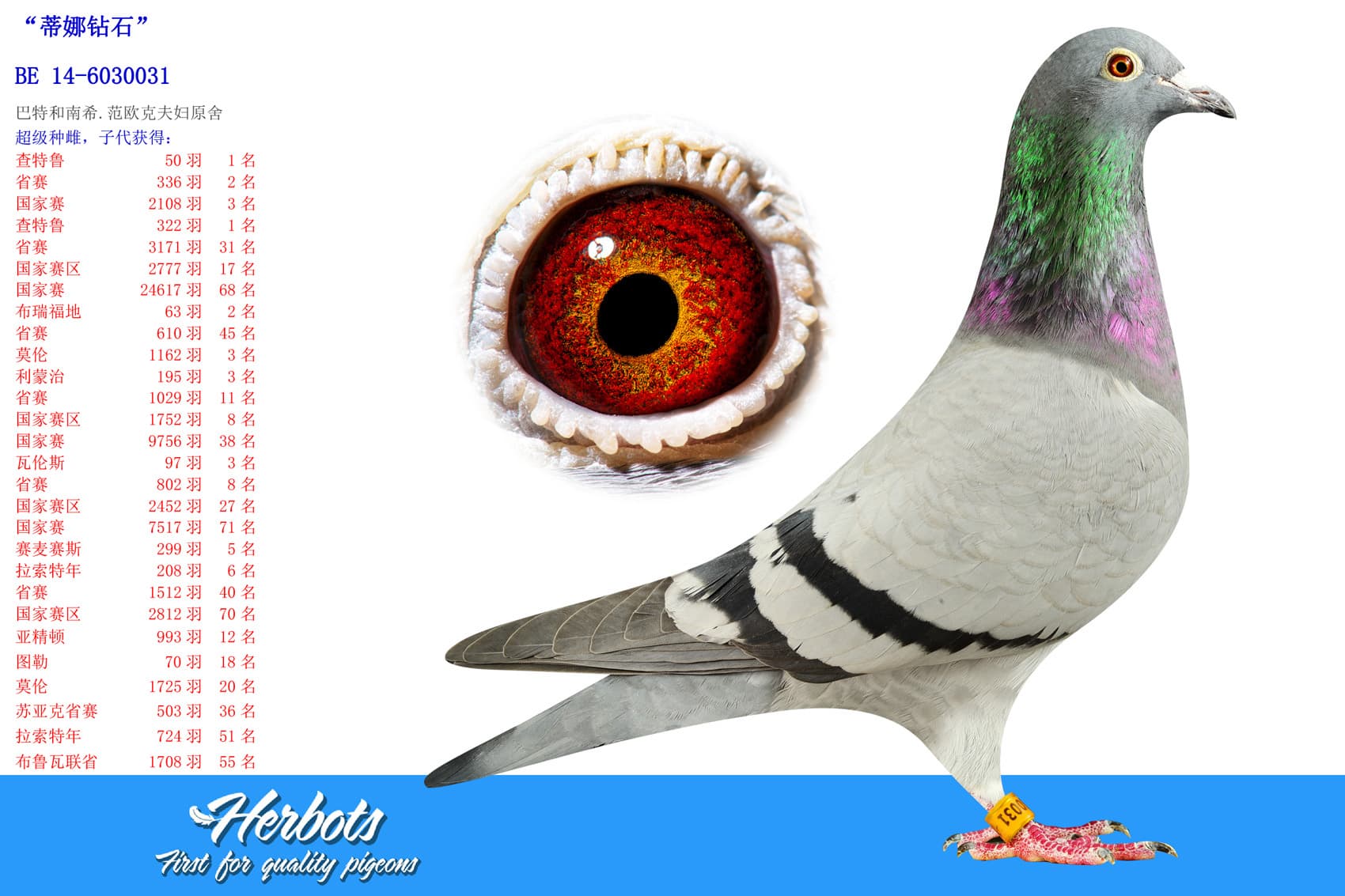 pigeon: undefined