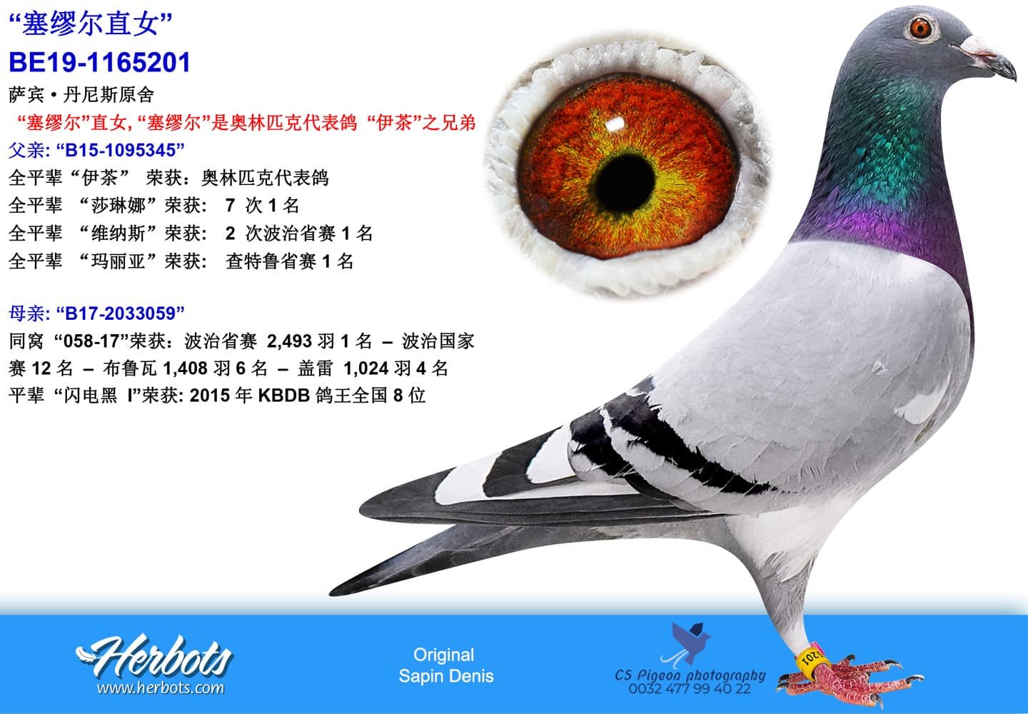 pigeon: undefined