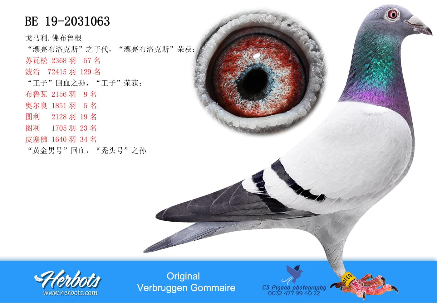 pigeon: undefined