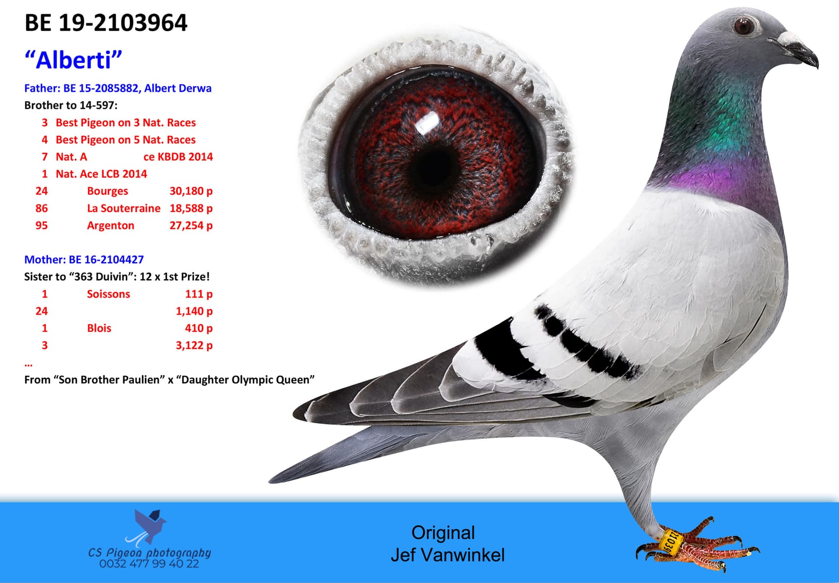 pigeon: undefined