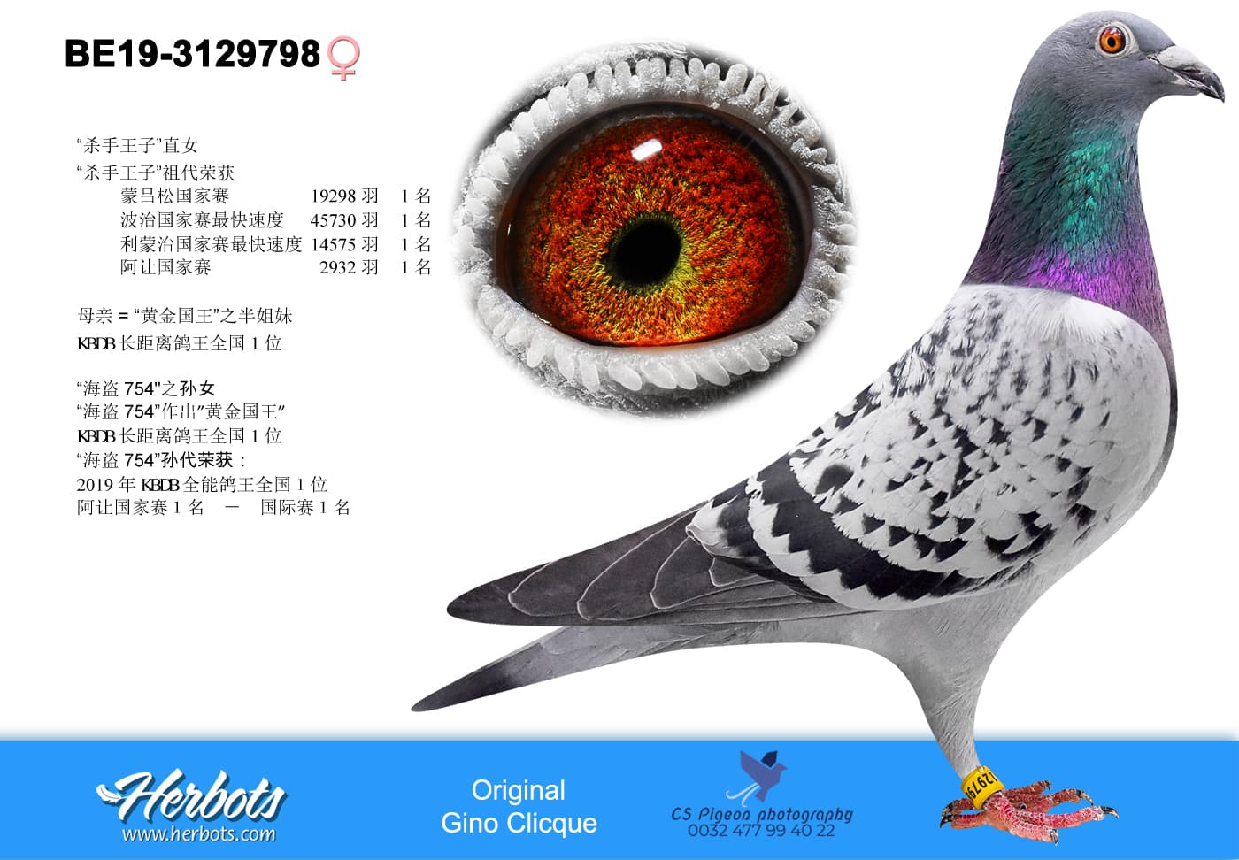 pigeon: "Daughter Killer Prince"