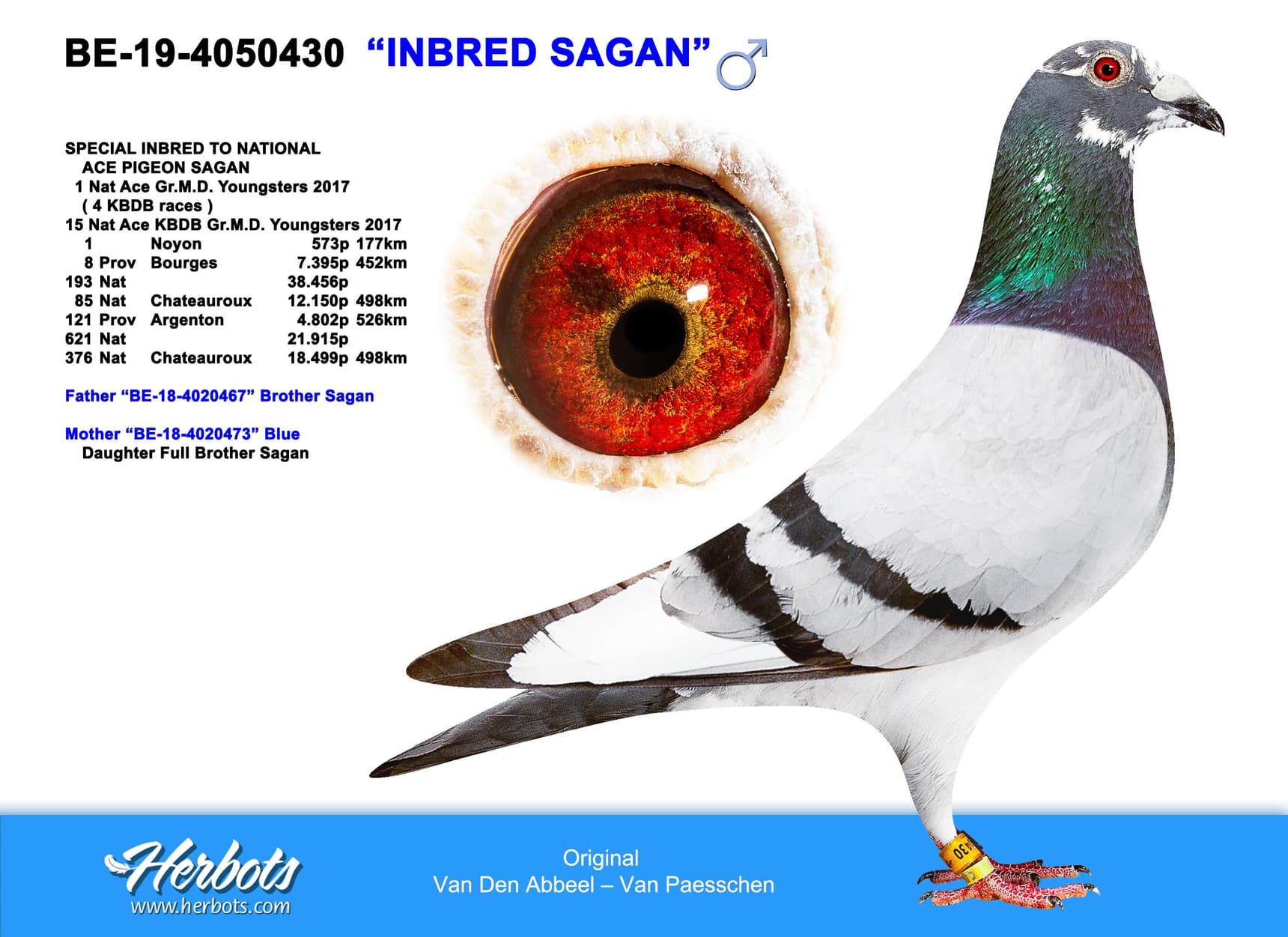 pigeon: "Inbred Sagan"