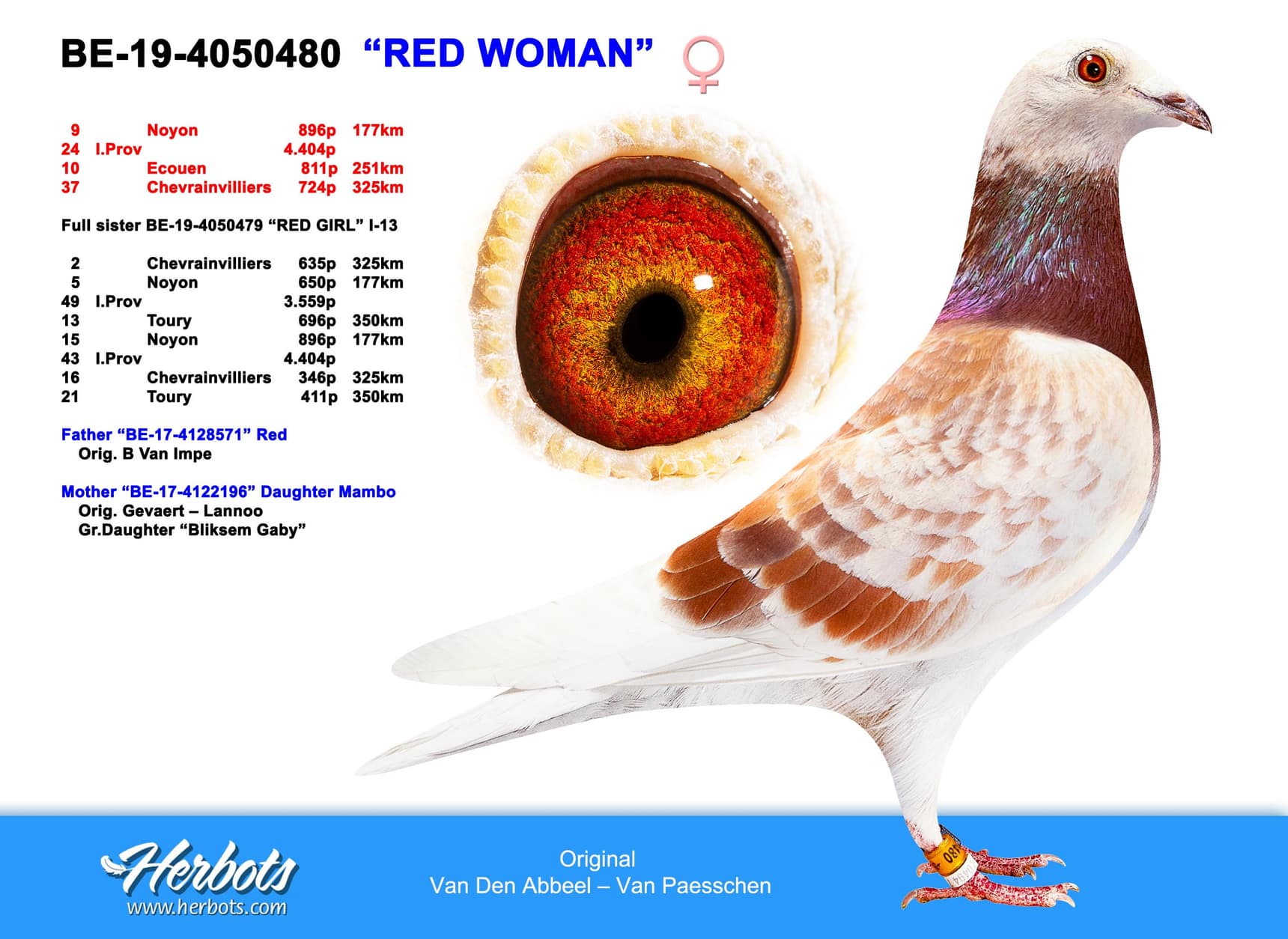 pigeon: "Red Woman"