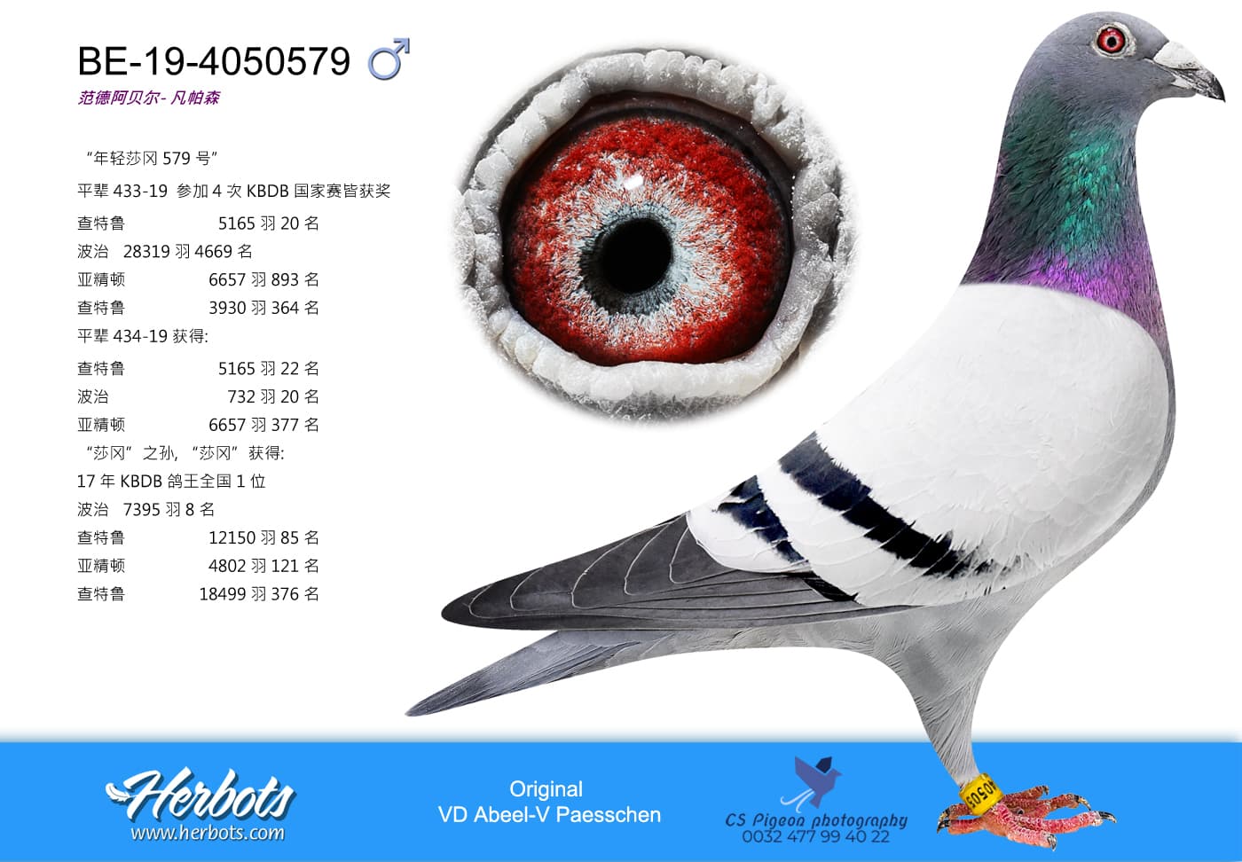 pigeon: undefined