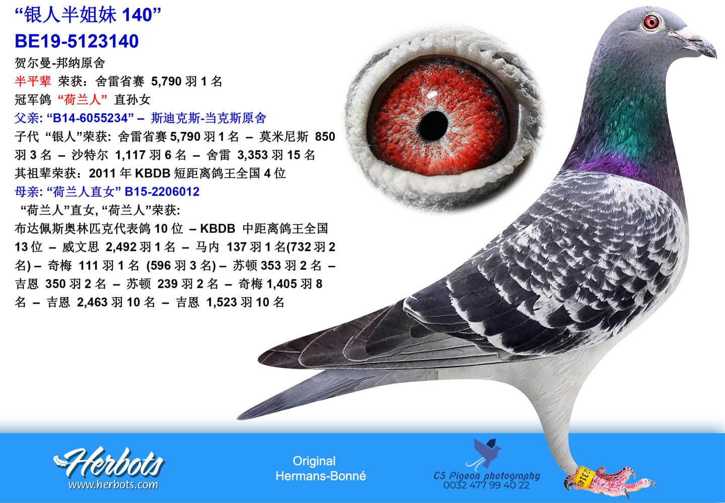 pigeon: undefined