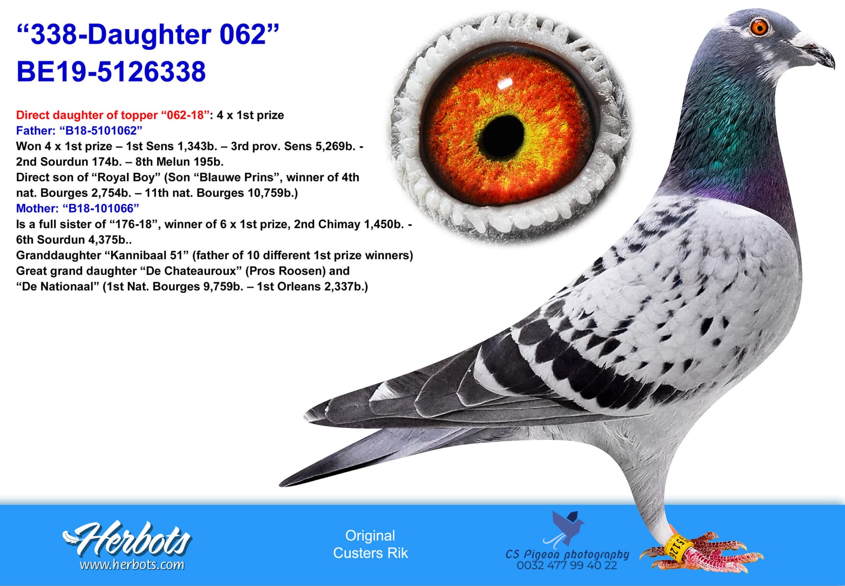 pigeon: “338-Daughter 062”