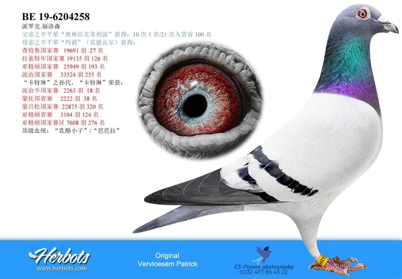 pigeon: undefined