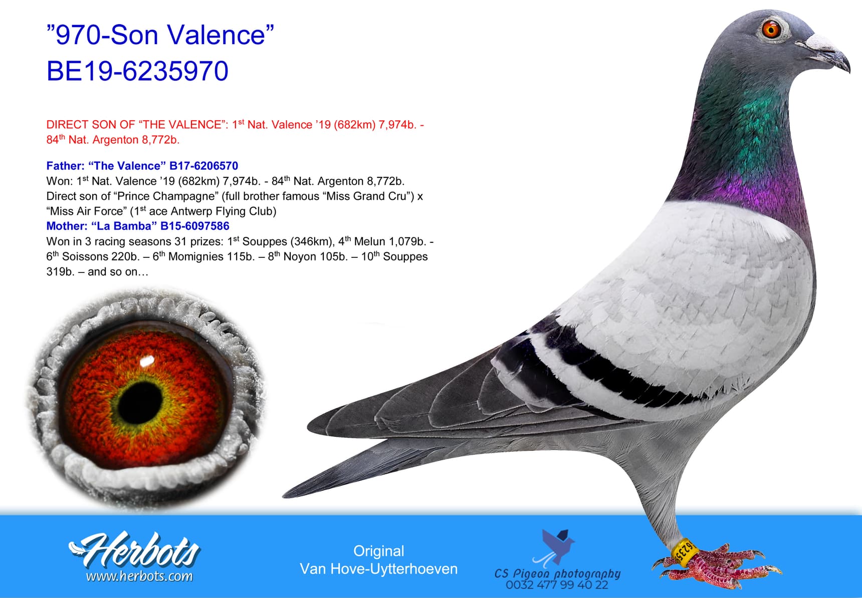 pigeon: ”670-Son Valence”