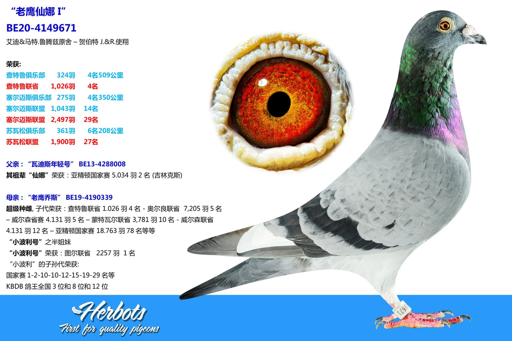 pigeon: undefined