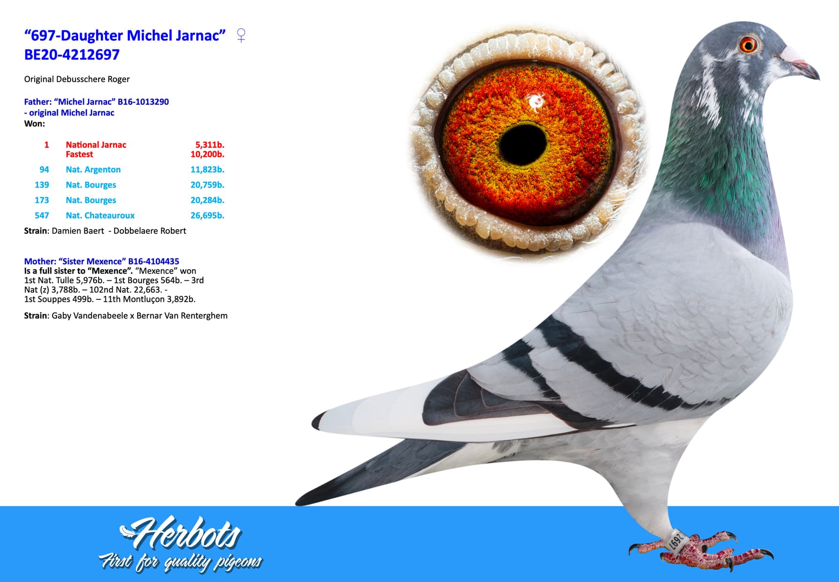 pigeon: undefined