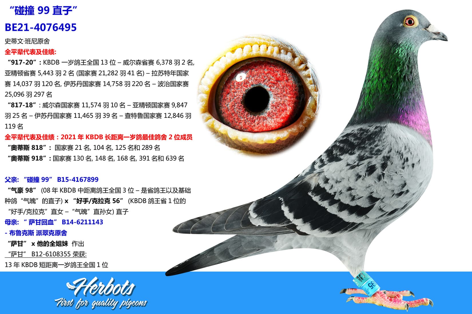 pigeon: undefined