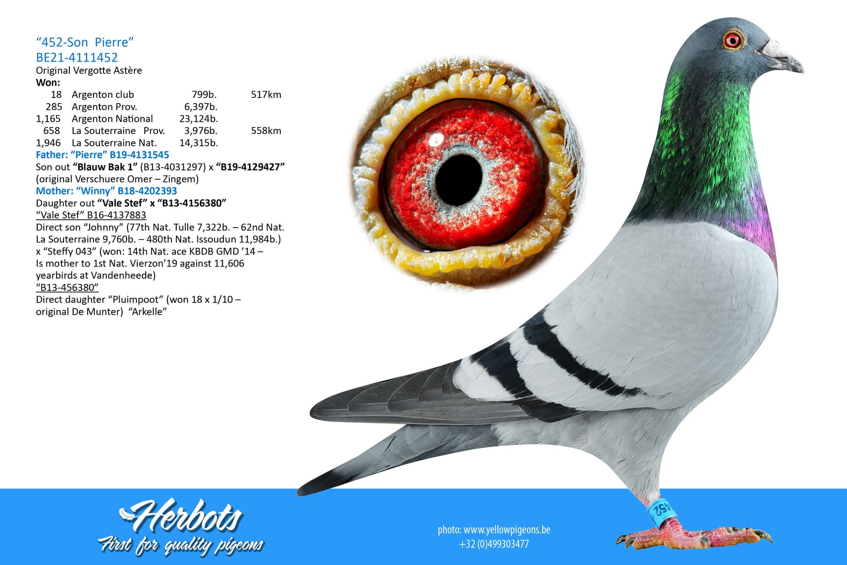 pigeon: undefined