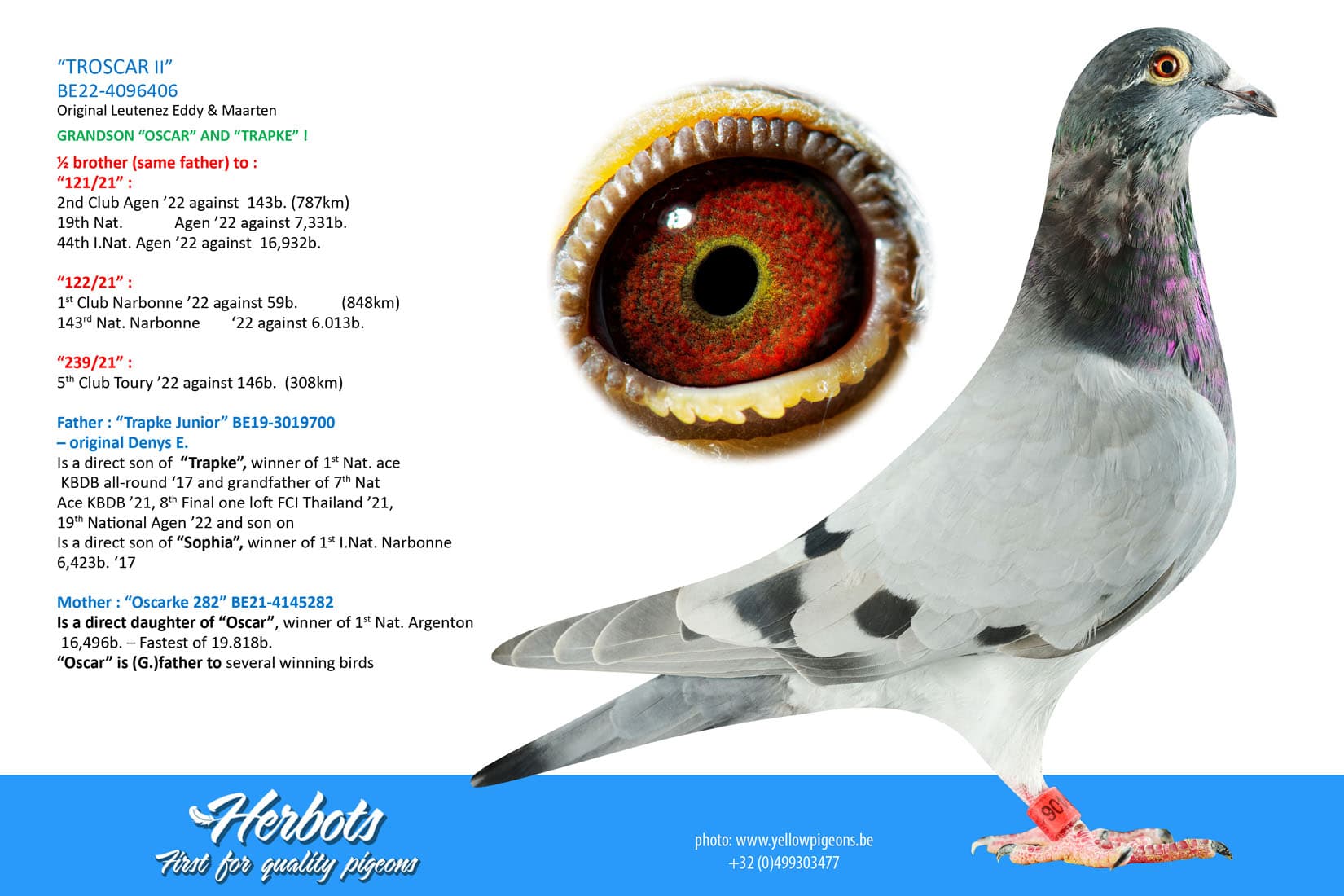 pigeon: “TROSCAR II”