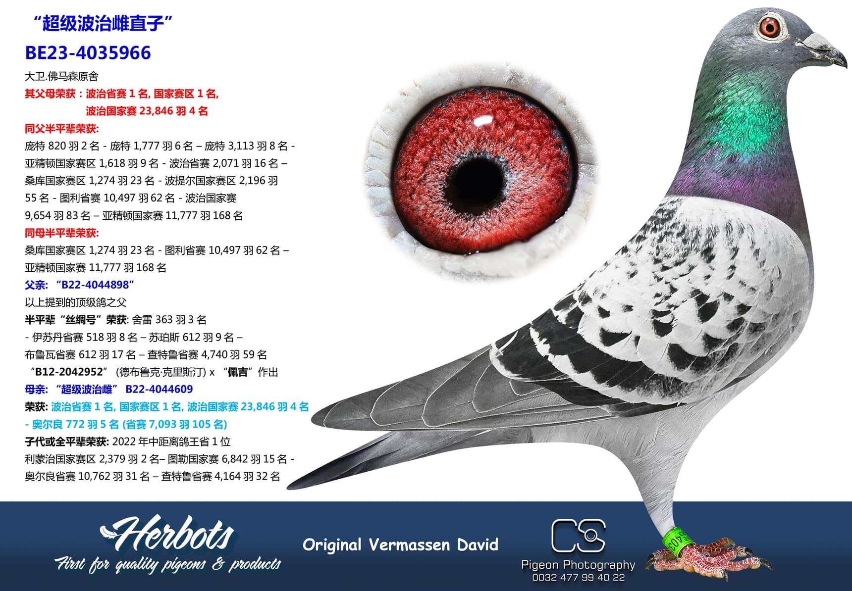 pigeon: “超级波治雌直子”