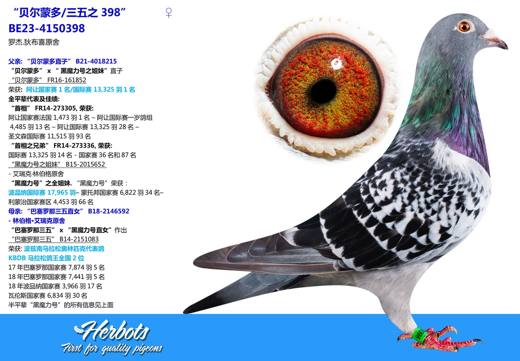 pigeon: undefined