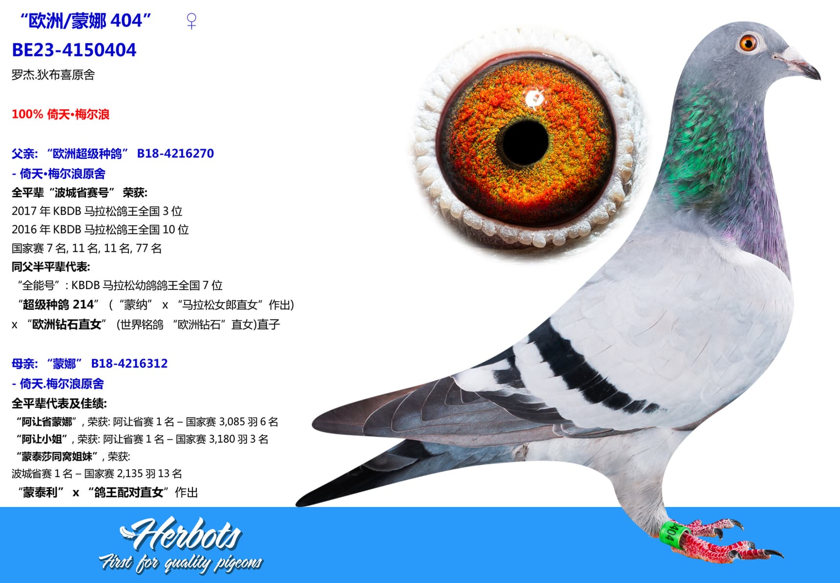 pigeon: undefined