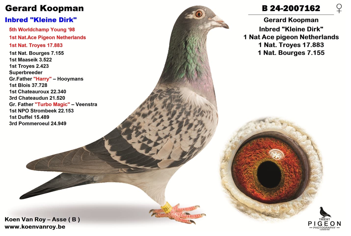 Gerard Koopman Inbred "Kleine Dirk"