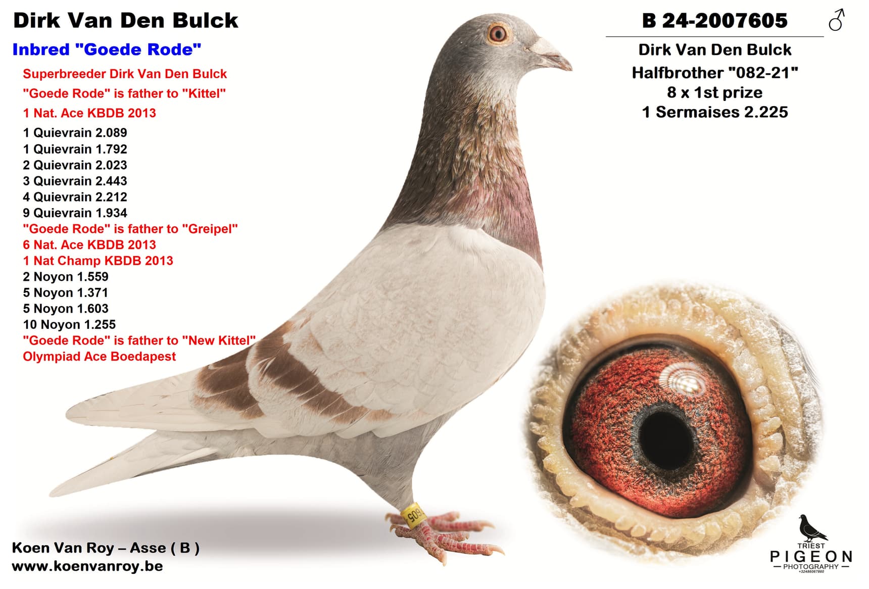 Dirk Van Den Bulck Inbred "Goede Rode"