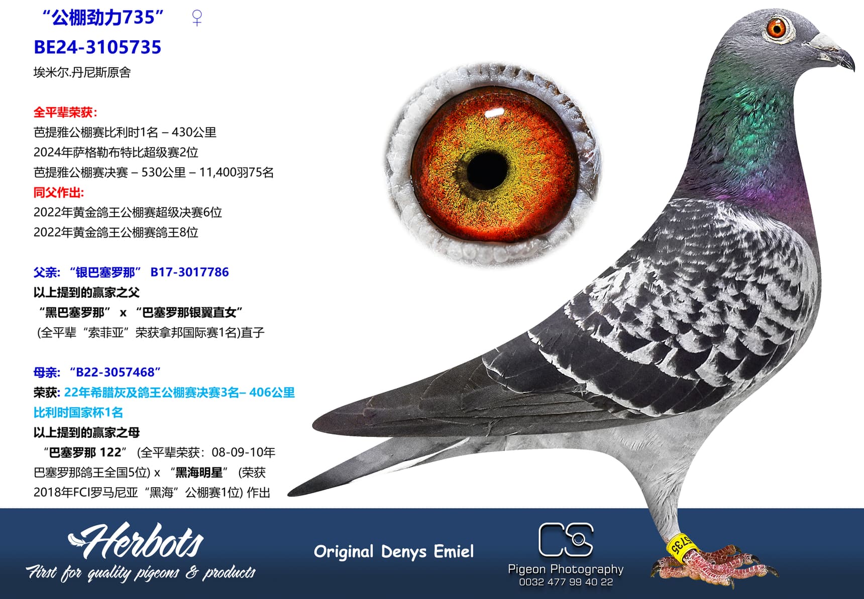 pigeon: undefined